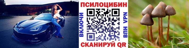 Псилоцибиновые грибы мухоморы цены наркотик omg зеркало Унеча