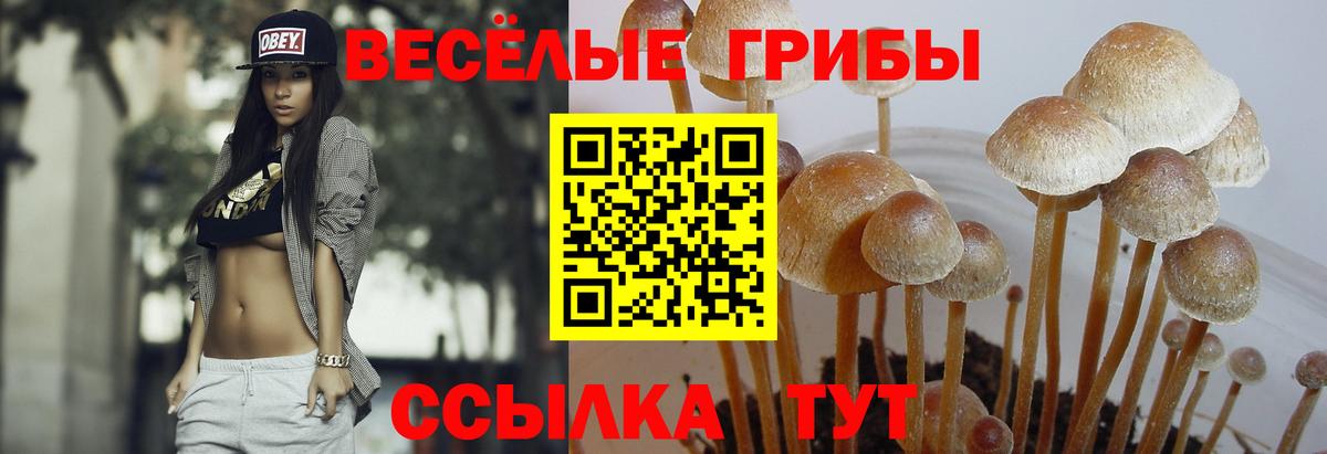 Галлюциногенные грибы мухоморы  Галлюциногенные грибы ЛСД  Унеча  Вход с VPN 