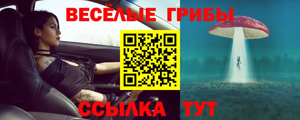Псилоцибиновые грибы мухоморы Унеча