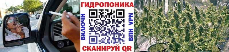 Каннабис White Widow  Унеча 